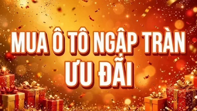 Địa điểm hỗ trợ xem xe tại Phú Thọ